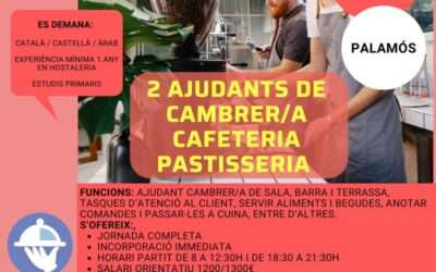 2 AJUDANTS/ES DE CAMBRER/A