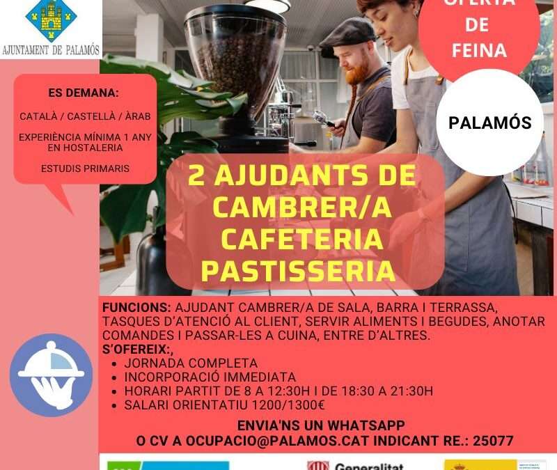 2 AJUDANTS/ES DE CAMBRER/A