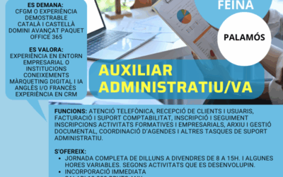 AUXILIAR ADMINISTRATIU/VA