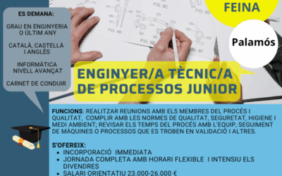 ENGINYER/A DE PROCESSOS