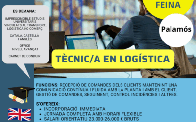 TÈCNIC/A EN LOGÍSTICA