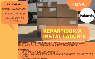 REPARTIDOR/A INSTAL·LADOR/A D’ELECTRODOMÈSTICS