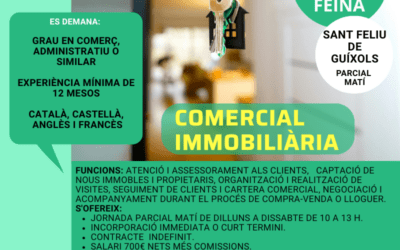 COMERCIAL IMMOBILIÀRIA