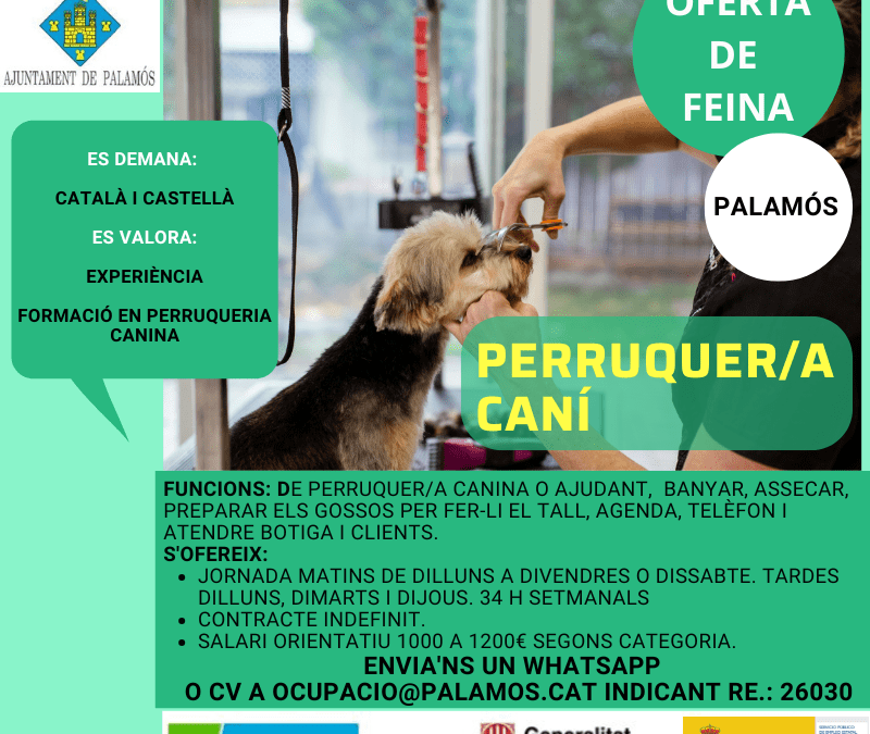 PERRUQUER/A CANÍ Ref.26030