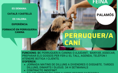 PERRUQUER/A CANÍ O AJUDANT