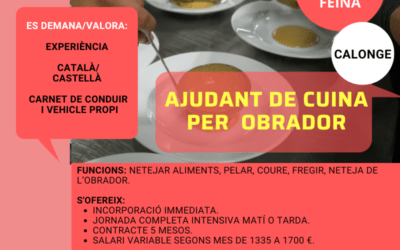 AUXILIAR DE CUINA PER OBRADOR