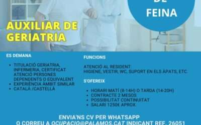 AUXILIAR DE GERIATRIA