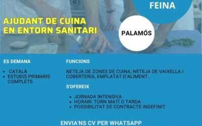 AJUDANT/A DE CUINA EN ENTORN SANITARI