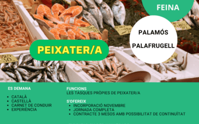 PEIXATER/A Ref.26067