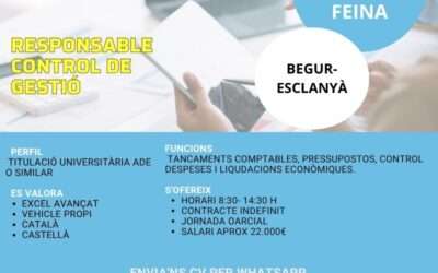 RESPONSABLE CONTROL DE GESTIÓ Ref.26069