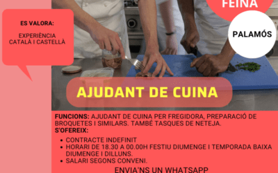 AJUDANT DE CUINA