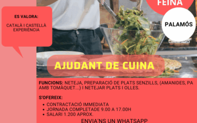 AUXILIAR  DE CUINA