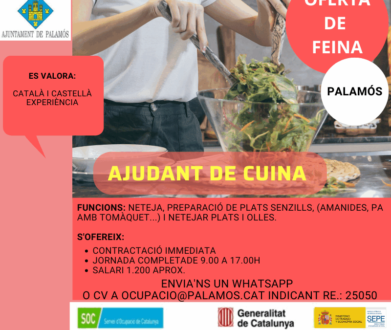 AUXILIAR  DE CUINA