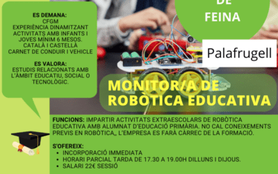 MONITOR/A DE ROBÒTICA EDUCATIVA