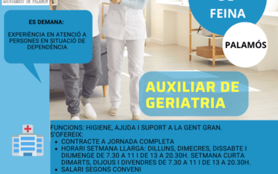 AUXILIAR DE GERIATRIA