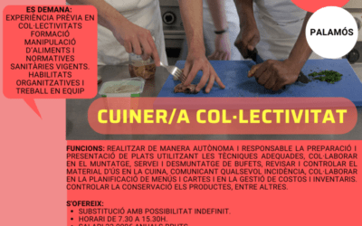 CUINER/A COL·LECTIVITAT