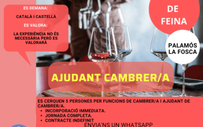 CAMBRER/A / AJUDANT DE CAMBRER/A