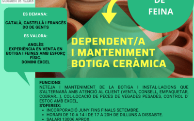 DEPENDENT/A I MANTENIMENT BOTIGA CERÀMICA