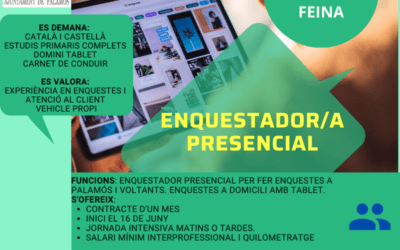 ENQUESTADOR/A