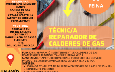 TÈCNIC/A REPARADOR DE CALDERES DE GAS