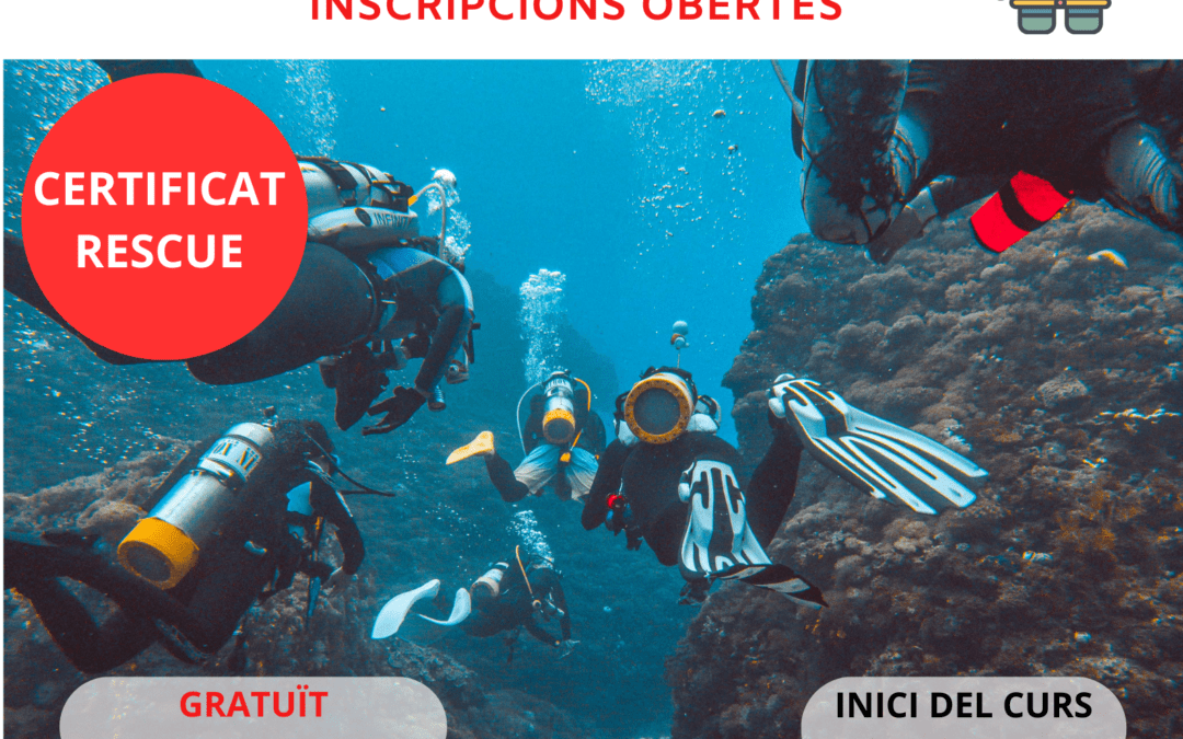 Curs d’atenció en situació d’emergència en busseig i snorkel. Gratuït