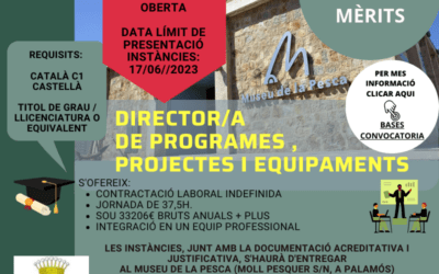 DIRECTOR/A DE PROGRAMES, PROJECTES I EQUIPAMENTS