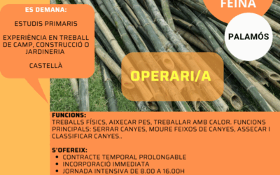 OPERARI/A