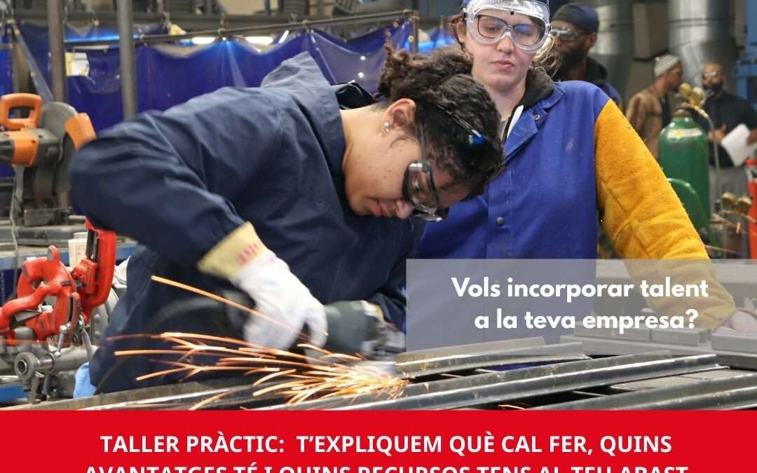 FP Dual pas a pas: què ha de fer la teva empresa per participar-hi?