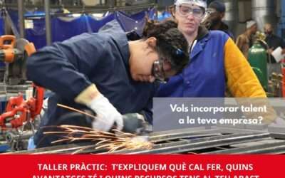 FP Dual pas a pas: què ha de fer la teva empresa per participar-hi?