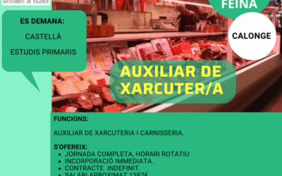 AUXILIAR DE XARCUTER/A