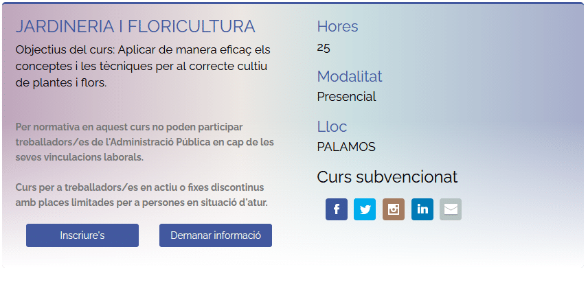 curs_jardineria_floricultura_IDFO_palamos FORMACIÓ IDFO COMPETÈNCIES BÀSIQUES EN RELACIÓ AMB L'OFIMÀTICA