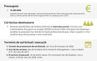 El SOC obre la convocatòria 2026 d’ajuts per a la contractació de joves en pràctiques