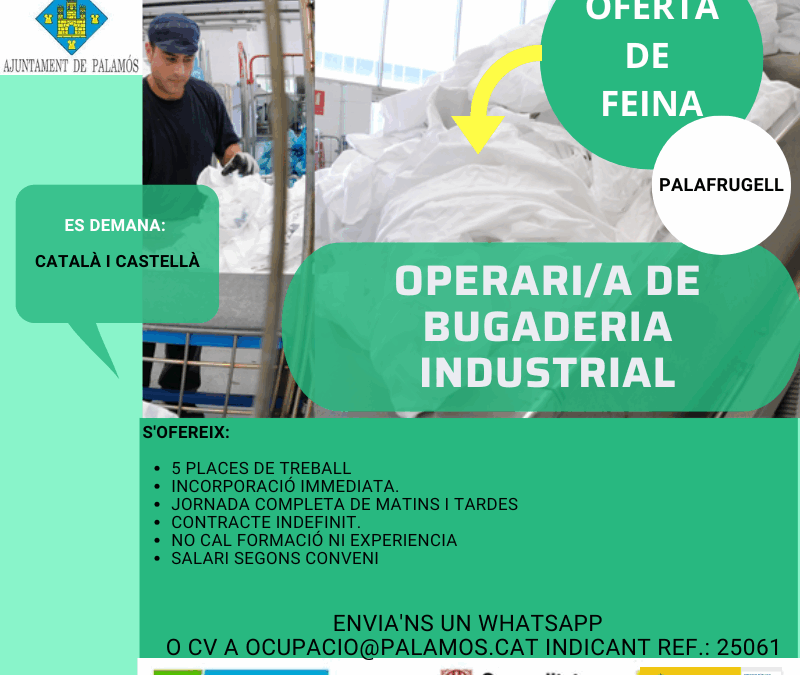 5 OPERARIS/ES  DE BUGADERIA INDUSTRIAL